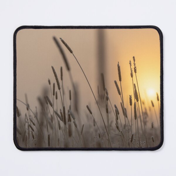Item preview, Blacklit grasses at sunrise designed and sold by Body-and-nature.