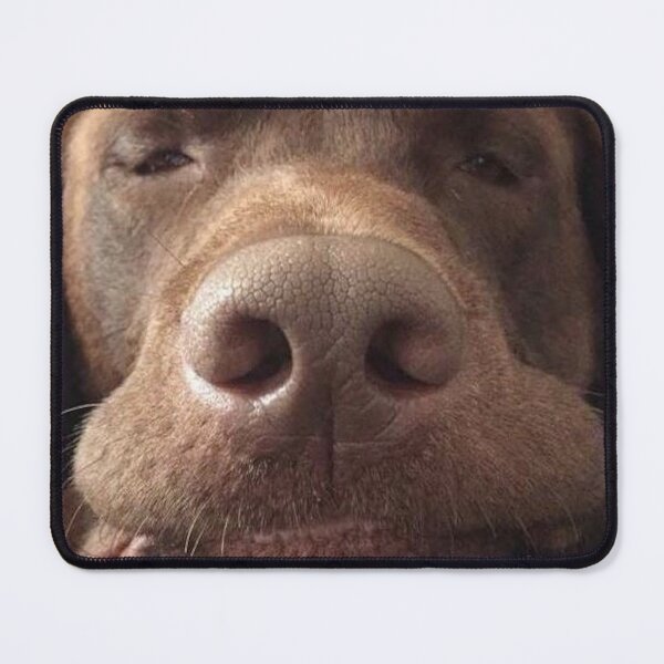 Item preview, Chocolate Labrador designed and sold by CoolYule.