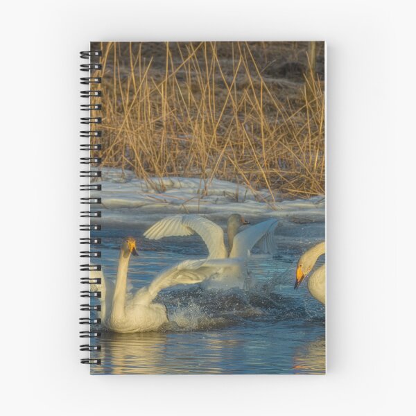Item preview, Activities designed and sold by Veikko  Suikkanen.