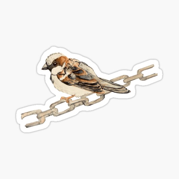 House Sparrow Sticker