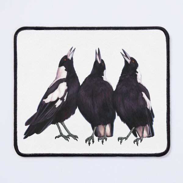 Item preview, Trio of warbling magpies. Australian theme decor, original artwork. Unique gift. designed and sold by PlumpPlumStudio.