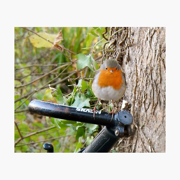 SOLD - HAPPY NEW YEAR! Photographic Print