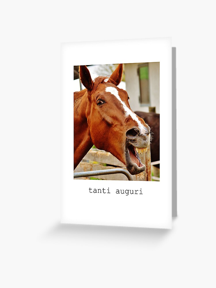 italian-birthday-card-funny-horse-and-italian-language-greeting-card-for-sale-by-pommallina-redbubble