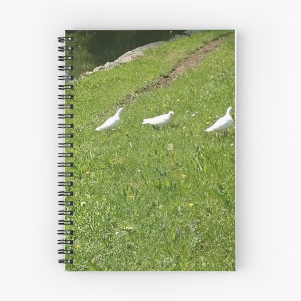 Item preview, White Doves in Bad Elster designed and sold by Dreammkd.