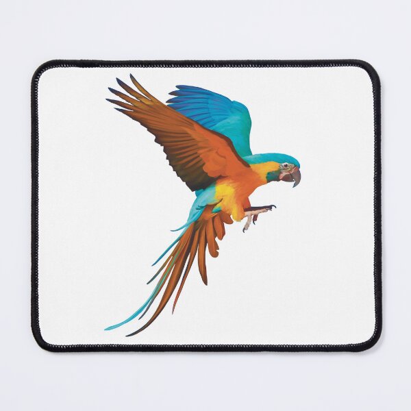 Item preview, Gorgeous Blue and Gold Macaw illustration, realistically drawn display it’s beautiful colours. Great bird lovers gift.  designed and sold by PlumpPlumStudio.