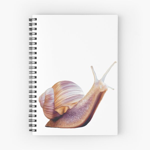 Item preview, Common Garden Snail illustration. Unique little snail art, cute little creature.  designed and sold by PlumpPlumStudio.