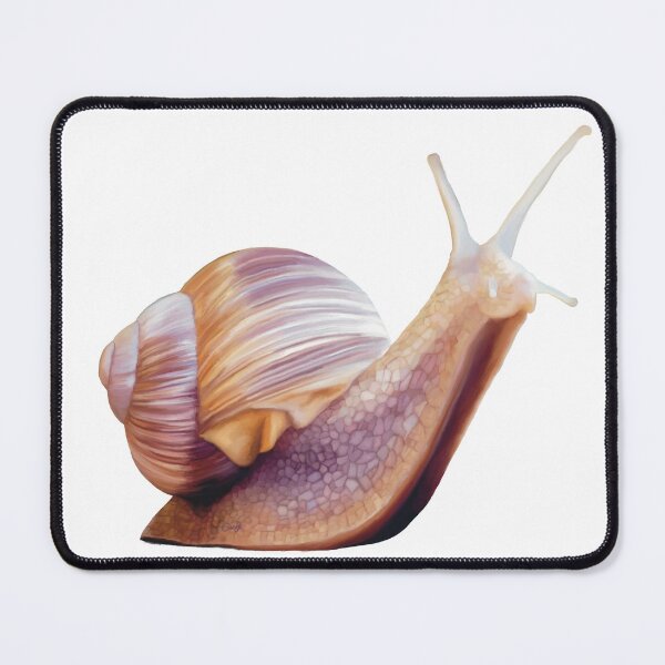 Item preview, Common Garden Snail illustration. Unique little snail art, cute little creature. designed and sold by PlumpPlumStudio.