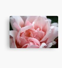 Romance Canvas Print