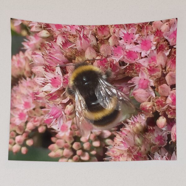 Item preview, Floral Delight Bumblebee on a Sedum Flower. “Save our Bees” designed and sold by Angela Haig-Harrison.