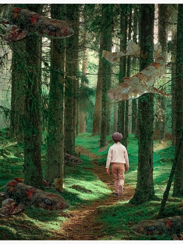 "Shark infested forest" Poster for Sale by KPstudios Redbubble