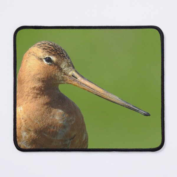 Item preview, Black tailed godwit designed and sold by Anita van Gendt.