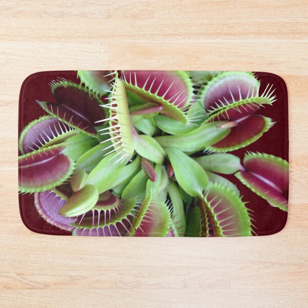 Item preview, VENUS FLYTRAP - CARNIVOROUS PLANTS designed and sold by Danicus666.