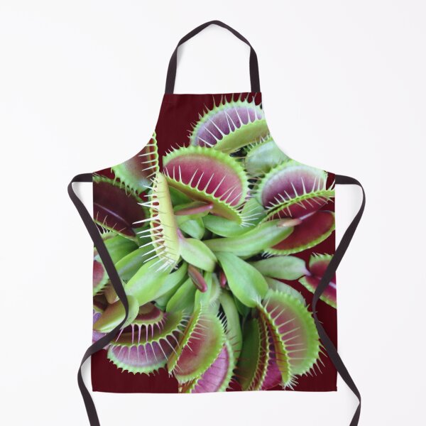 Item preview, VENUS FLYTRAP - CARNIVOROUS PLANTS designed and sold by Danicus666.