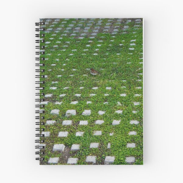 Item preview, Grassy Driveway designed and sold by yusaku.