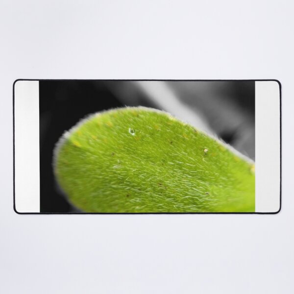 Item preview, Soft Saturated Leaf designed and sold by MyMacro_Photography (MyMacro).
