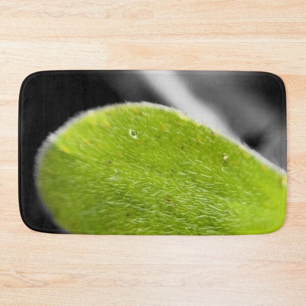 Item preview, Soft Saturated Leaf designed and sold by MyMacro_Photography (MyMacro).