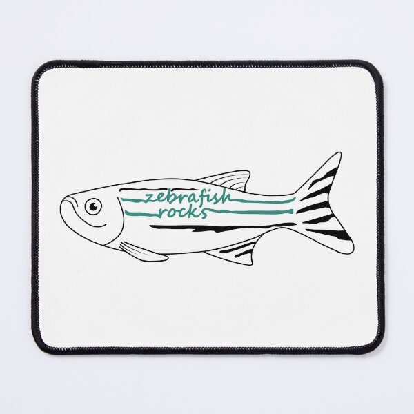 Item preview, Zebrafish rocks designed and sold by CamilaDavison.