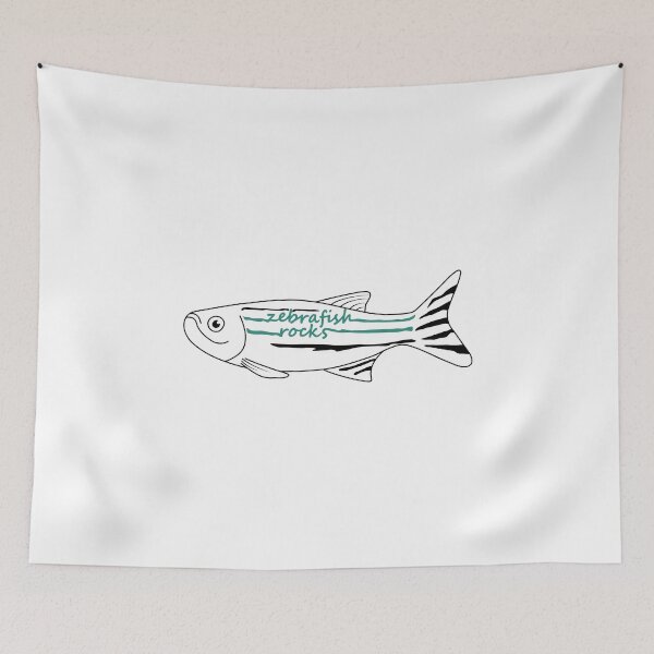 Item preview, Zebrafish rocks designed and sold by CamilaDavison.