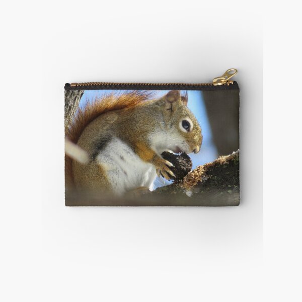 Item preview, Red Squirrel  designed and sold by caybeach.