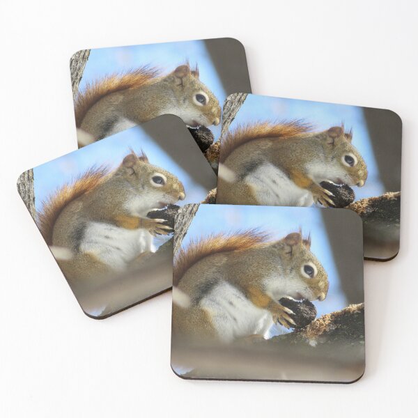 Item preview, Red Squirrel  designed and sold by caybeach.