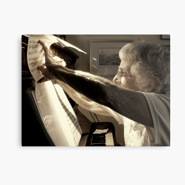 The Musician Metal Print