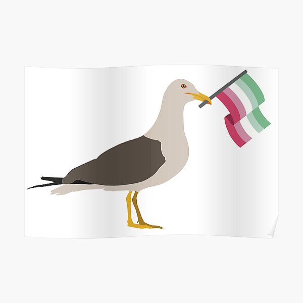 Seagull Holding Abrosexual Pride Flag Poster For Sale By Justgottadraw Redbubble 2315