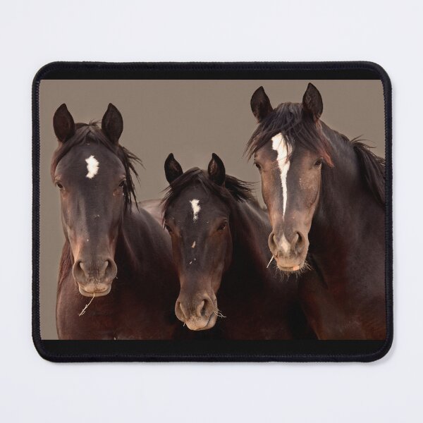 Item preview, Wild Mustangs McCullough Peaks, Wyoming designed and sold by RichFrancoCars.