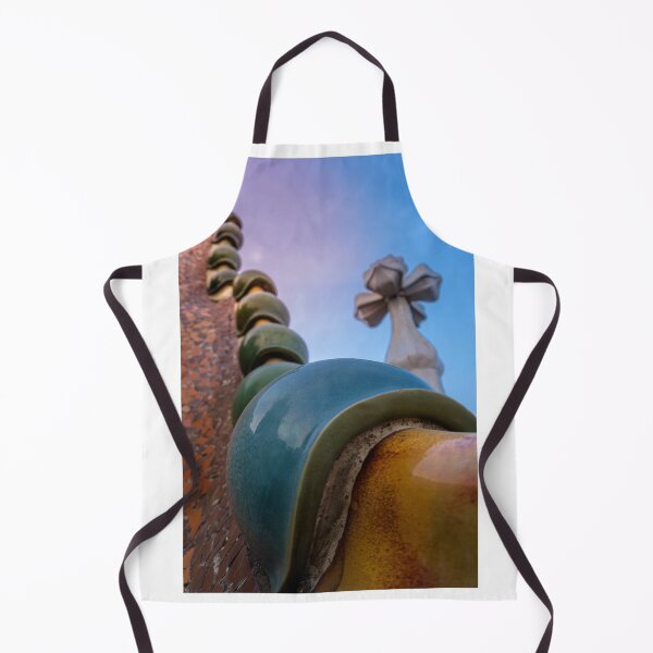 Item preview, Casa Batllo  designed and sold by paolo amiotti.