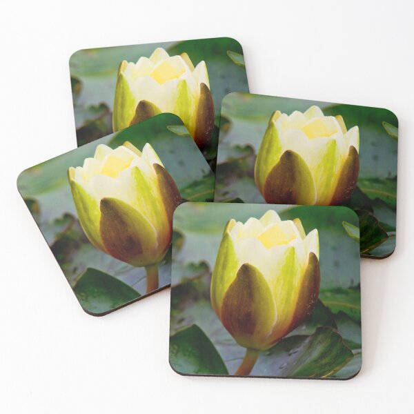 Item preview, English Wild Flowers - Water Lily designed and sold by Violaman.