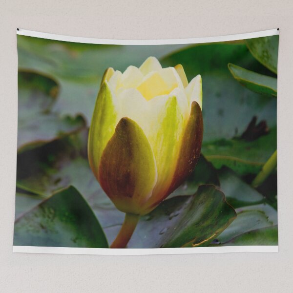Item preview, English Wild Flowers - Water Lily designed and sold by Violaman.