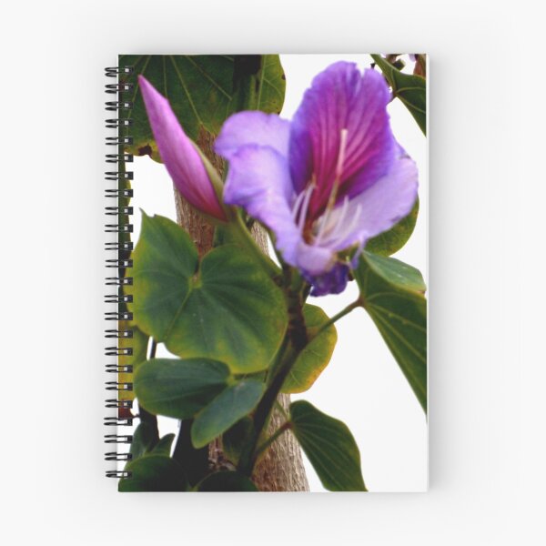 Item preview, ENCHANTED PURPLE SINGAPORE-LILY designed and sold by RubaiDesign.