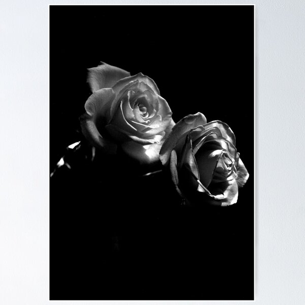 Item preview, Black Roses designed and sold by Juilee Pryor.