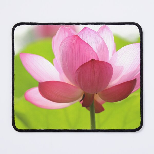 Item preview, Pink Lotus Flower  designed and sold by newburyboutique.