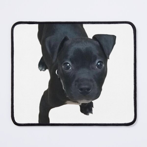 Item preview, Black Pit Bull Puppy designed and sold by SnarkyTeesMugs.