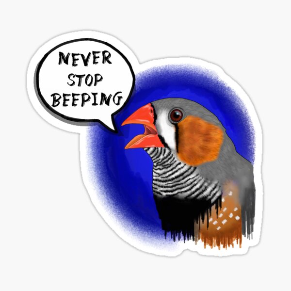 "Zebra finch never stop beeping" Sticker for Sale by Tarajillian Redbubble