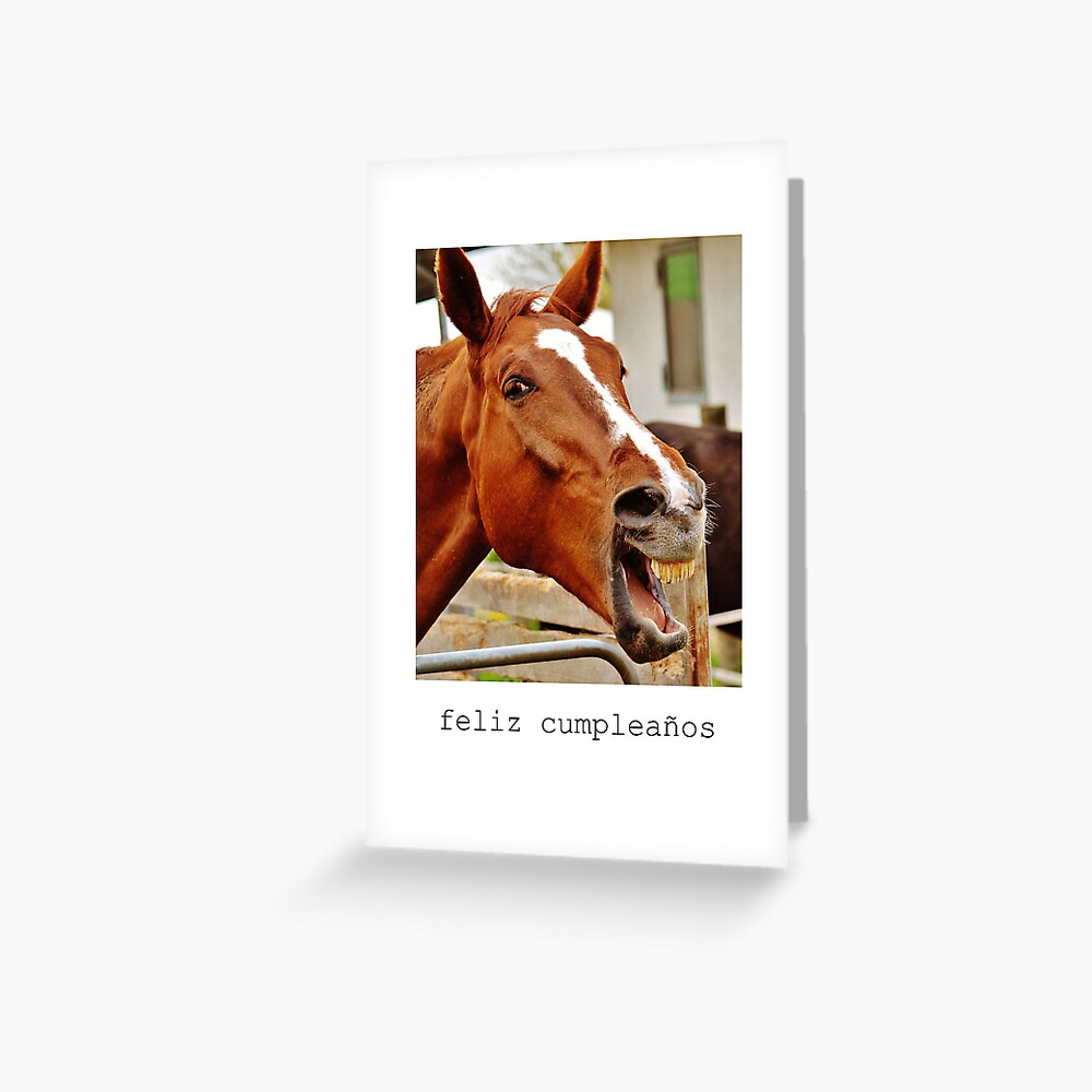 spanish-birthday-card-with-funny-horse-and-spanish-language-greeting-card-for-sale-by-pommallina-redbubble