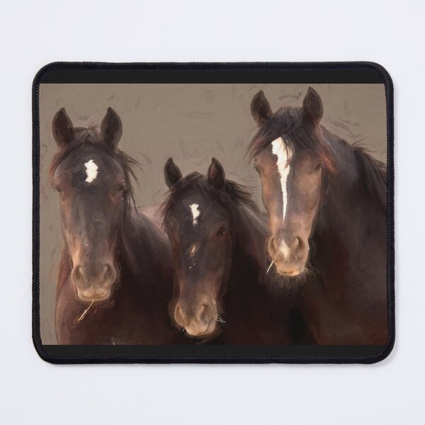 Item preview, Wild Mustangs McCullough Peaks Wyoming X115 designed and sold by RichFrancoCars.