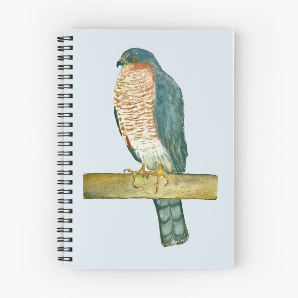 Item preview, Sparrowhawk (watercolour) designed and sold by Sarah Addy.