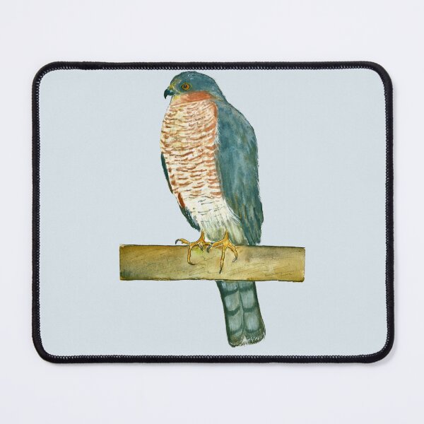 Item preview, Sparrowhawk (watercolour) designed and sold by Sarah Addy.
