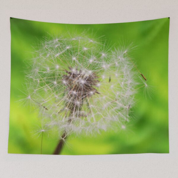 Item preview, Precious life designed and sold by Melanie  Poirier ⭐⭐⭐⭐⭐.