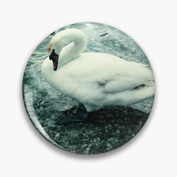 Item preview, Swan in lake designed and sold by LittleCountess.