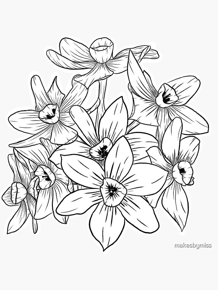 "Minimalist Paperwhite Flowers Line Drawing" Sticker by makesbymiss