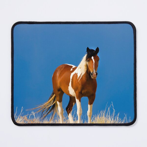 Item preview, Wild Mustangs McCullough Peaks Wyoming designed and sold by RichFrancoCars.