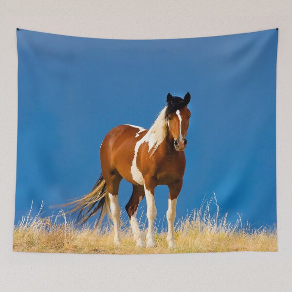 Item preview, Wild Mustangs McCullough Peaks Wyoming  designed and sold by RichFrancoCars.