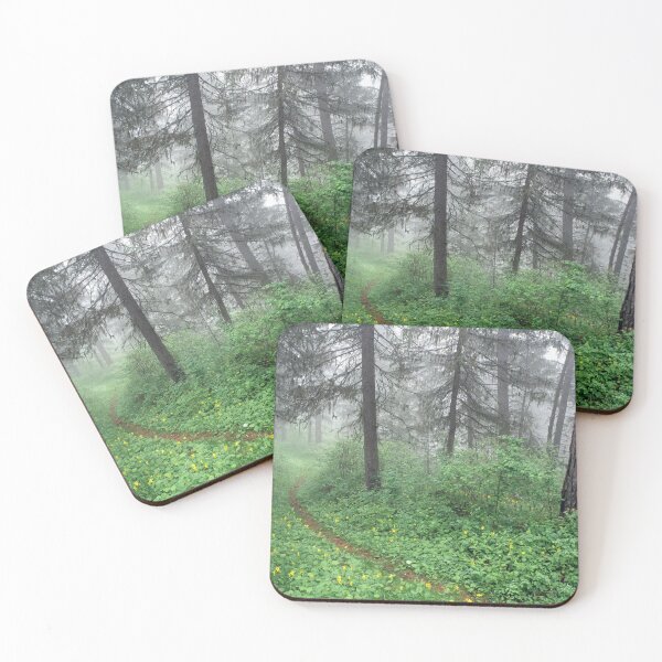 Item preview, A Path of Your Own designed and sold by Alison Meyer Photography.