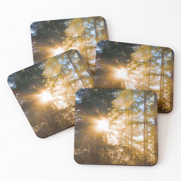 Item preview, A New Day designed and sold by Alison Meyer Photography.
