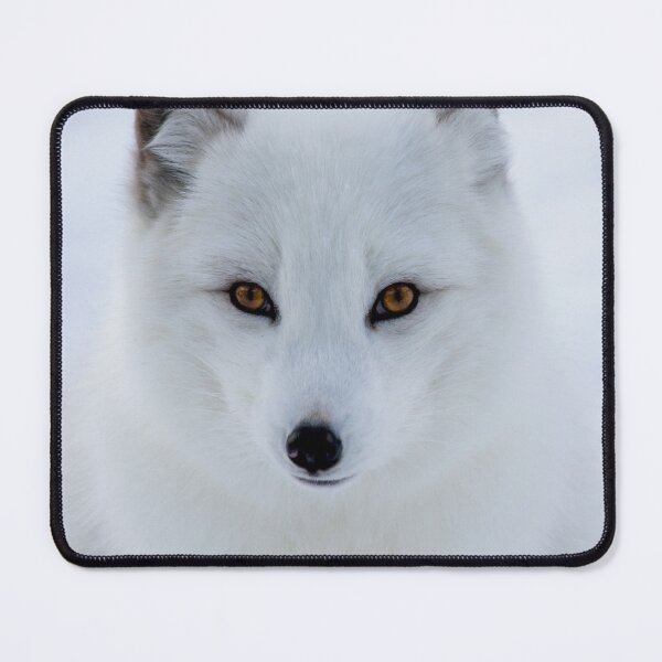 Item preview, Stunning Arctic Fox, Wild and Beautiful, Mesmerizing Eyes in a winter paradise designed and sold by Orianah.