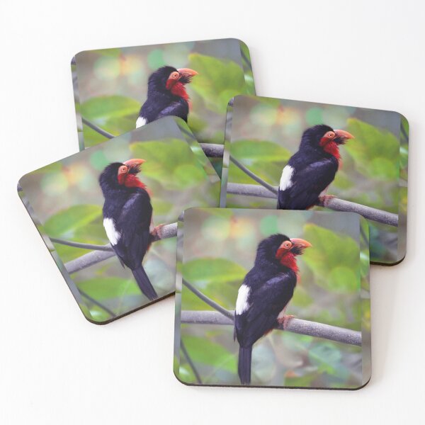 Item preview, Bearded Barbet designed and sold by Savannah Gibbs.