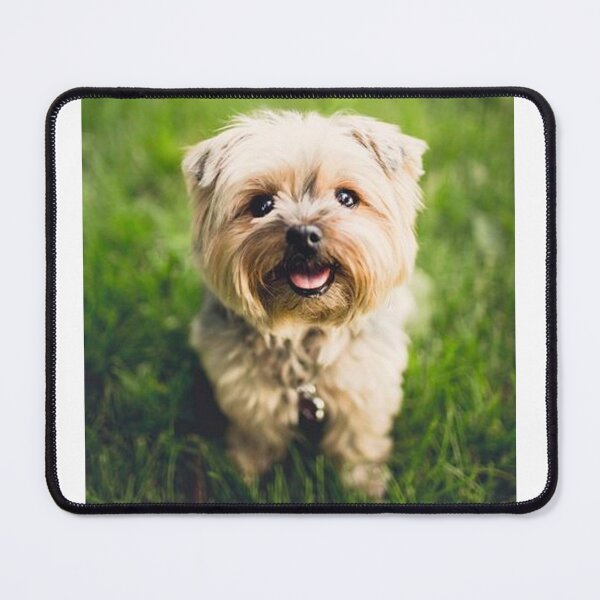 Item preview, cute dog designed and sold by Marijela1.