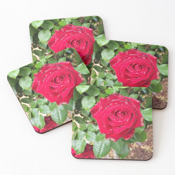 Item preview, Lincoln Roses designed and sold by edwardiangirl.